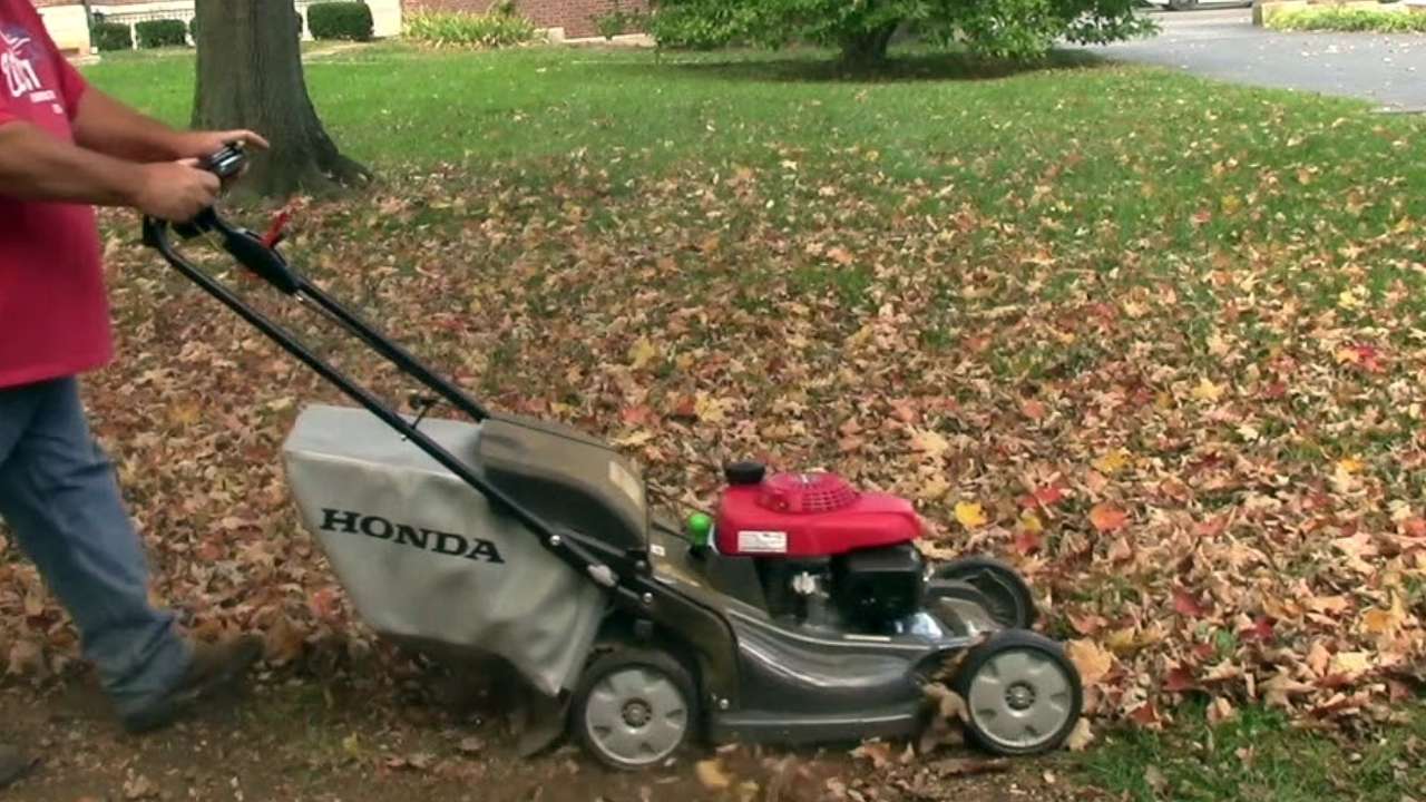 Pros and Cons of Mulching Leaves LAWNNNN