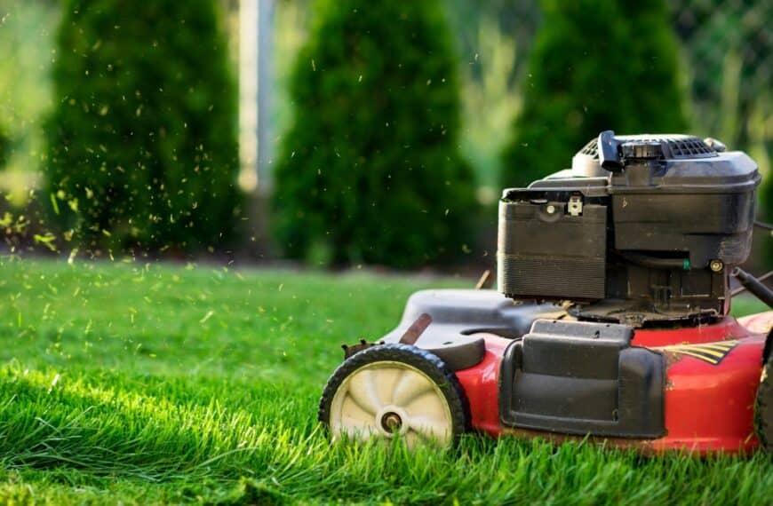 Can lawn be cut in January?: Answered