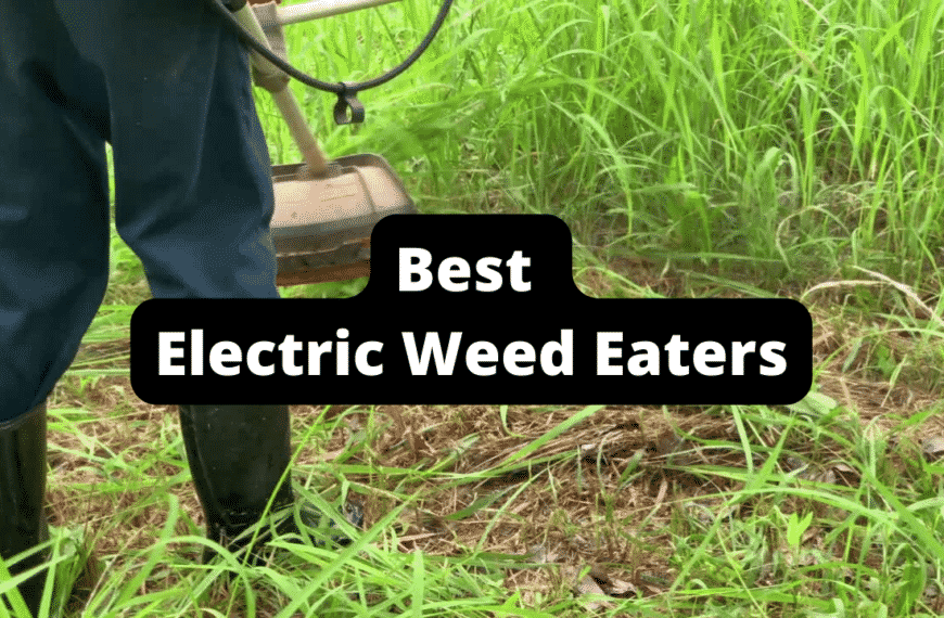 Best Electric Weed Eaters