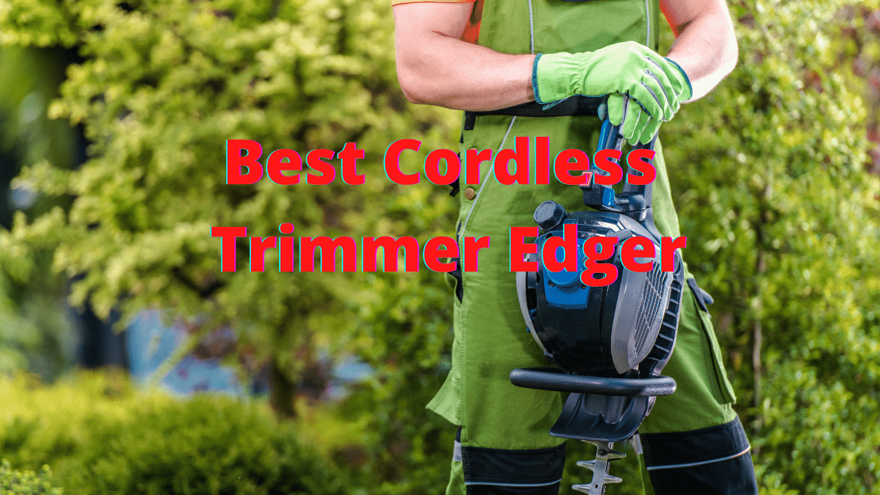 Best Cordless Trimmer Edger 2022 [Buying Guide + Review]