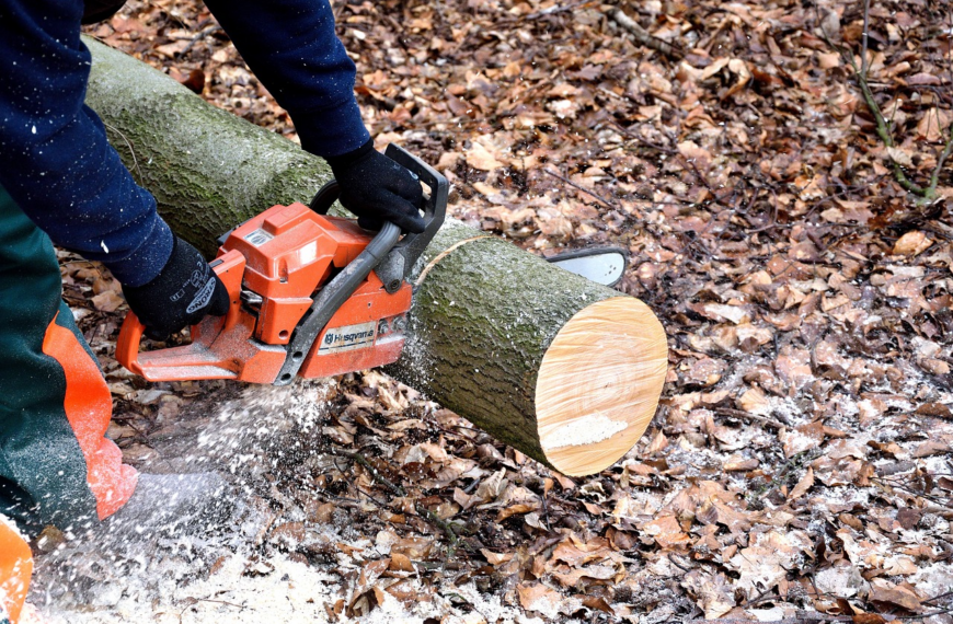 Are Battery Powered Chainsaws Good?