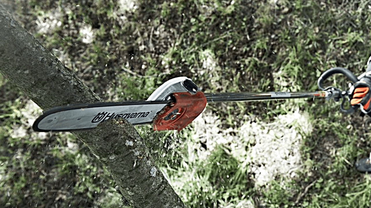 Corded vs Cordless Pole Saw LAWNNNN